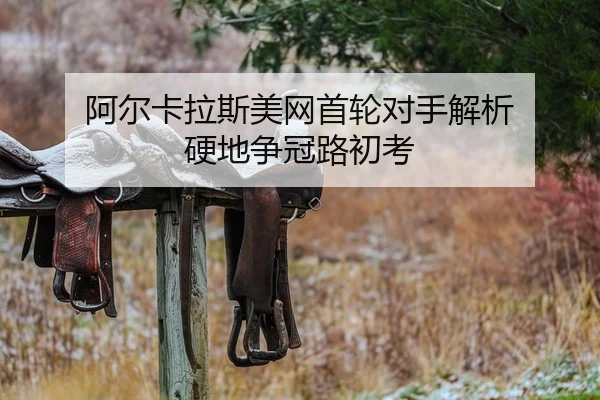 a-er-ka-la-si-mei-wang-shou-lun-dui-shou-jie-xi-ying-di-zheng-guan-lu-chu-kao-2-148.jpg