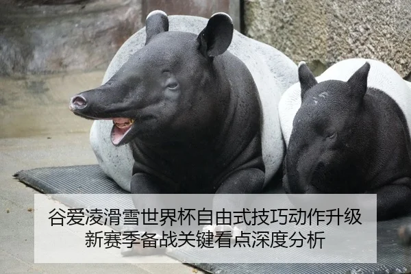 gu-ai-ling-hua-xue-shi-jie-bei-zi-you-shi-ji-qiao-dong-zuo-sheng-ji-xin-sai-ji-bei-zhan-guan-jian-kan-dian-shen-du-fen-2-537.jpg